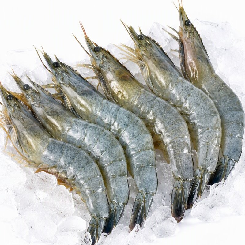 鲜活大虾